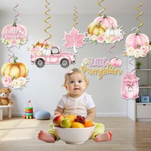 Little Pumpkin Baby Shower Decorations, Girl Pink Pumpkin Baby Shower Decorations includes a Little Pumpkin Is On The Way Banner and A Little Pumpkin Is On Her Way Baby Shower Hanging Swirls