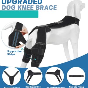 Petdream Dog Knee Brace with Vest, Support Dog Acl Brace for Hind Leg Torn, Adjustable Dog Rear Leg Braces for Cruciate Ligament Injury, Joint Pain Relief and Arthritis (Double, 3)