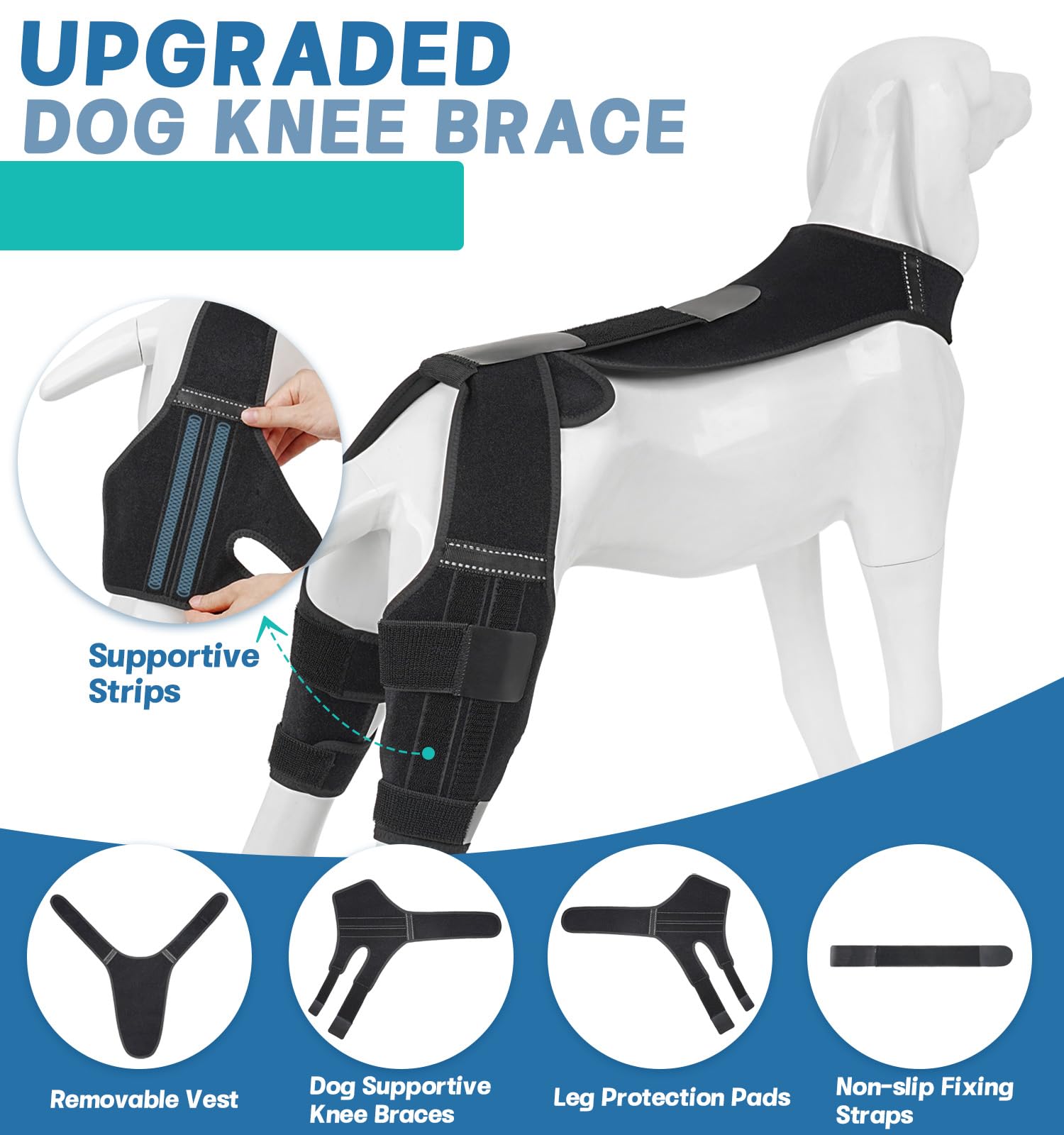 Petdream Dog Knee Brace with Vest, Support Dog Acl Brace for Hind Leg Torn, Adjustable Dog Rear Leg Braces for Cruciate Ligament Injury, Joint Pain Relief and Arthritis (Double, 3)