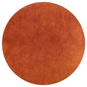 Generic Round Area Rug,Burnt Orange Non-Slip Bathroom Rug Soft Floor Carpet Mat for Living Room Bedroom Dining Room Decor, 24inch