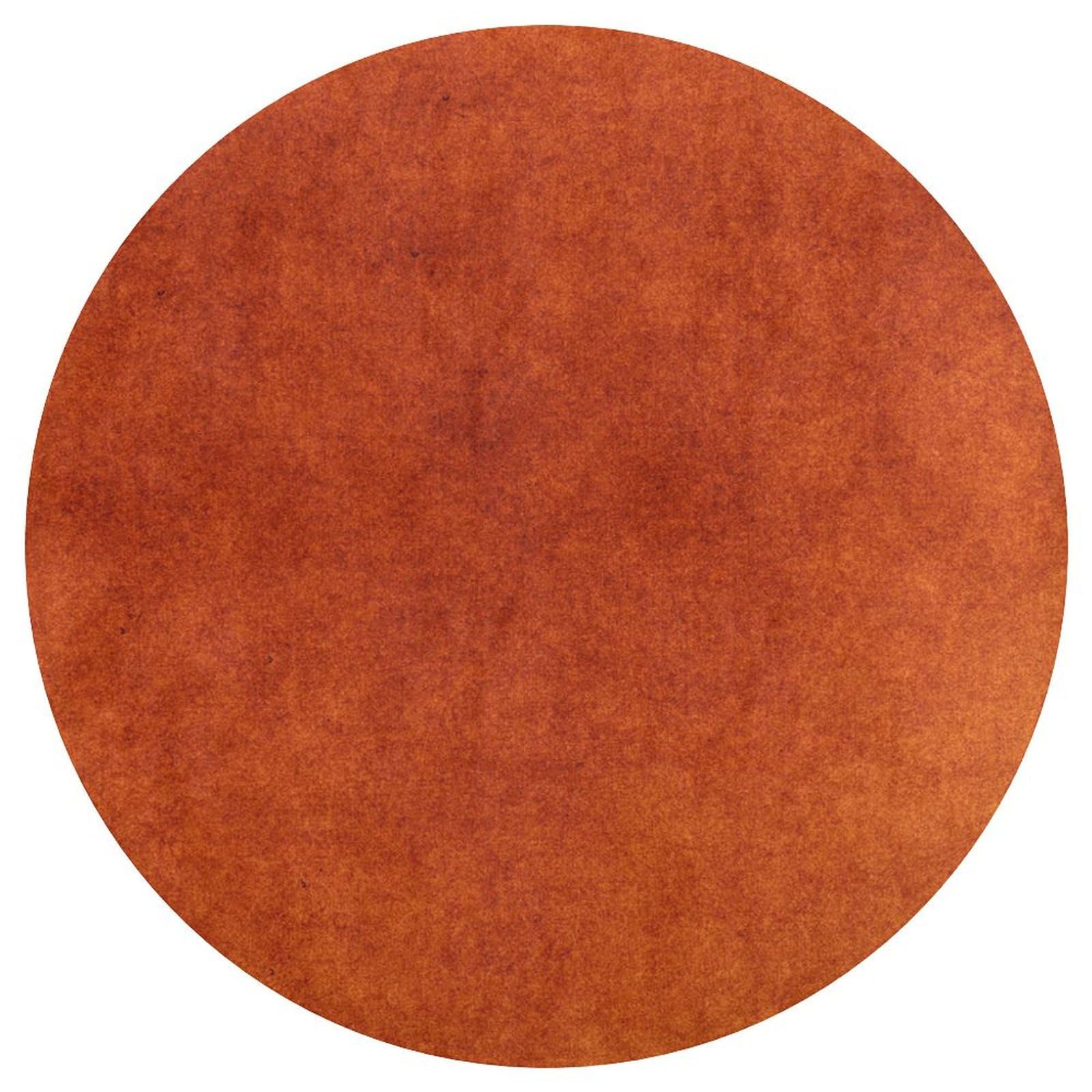 Generic Round Area Rug,Burnt Orange Non-Slip Bathroom Rug Soft Floor Carpet Mat for Living Room Bedroom Dining Room Decor, 24inch