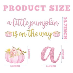 Little Pumpkin Baby Shower Decorations, Girl Pink Pumpkin Baby Shower Decorations includes a Little Pumpkin Is On The Way Banner and A Little Pumpkin Is On Her Way Baby Shower Hanging Swirls