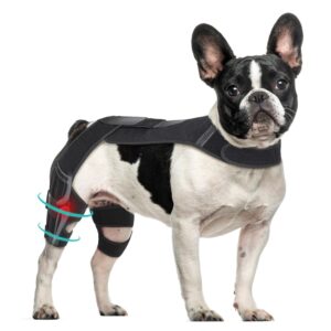 Petdream Dog Knee Brace with Vest, Support Dog Acl Brace for Hind Leg Torn, Adjustable Dog Rear Leg Braces for Cruciate Ligament Injury, Joint Pain Relief and Arthritis (Double, 3)