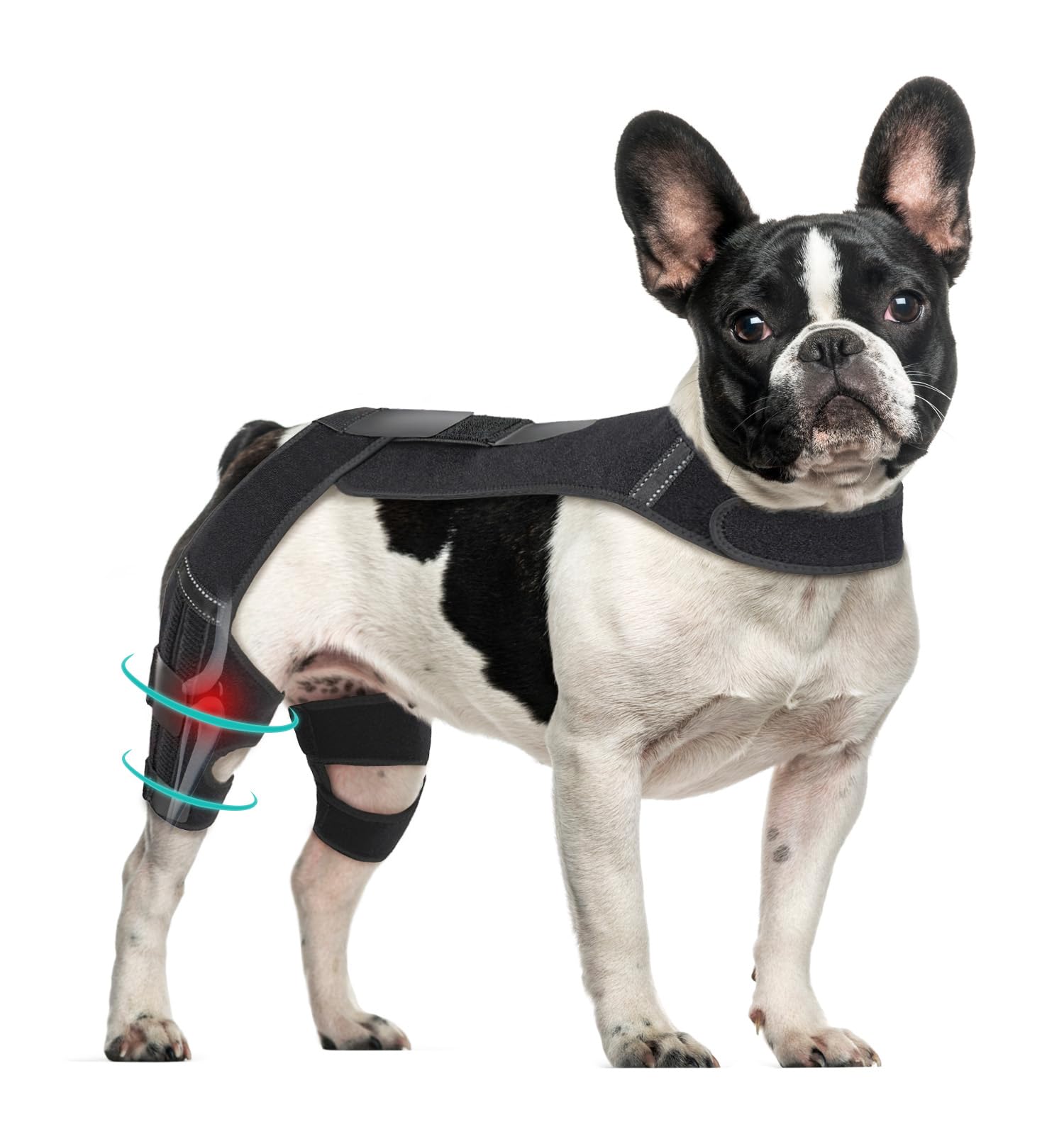 Petdream Dog Knee Brace with Vest, Support Dog Acl Brace for Hind Leg Torn, Adjustable Dog Rear Leg Braces for Cruciate Ligament Injury, Joint Pain Relief and Arthritis (Double, 3)