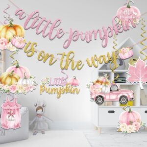 Little Pumpkin Baby Shower Decorations, Girl Pink Pumpkin Baby Shower Decorations includes a Little Pumpkin Is On The Way Banner and A Little Pumpkin Is On Her Way Baby Shower Hanging Swirls