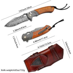 VNLA Pocket Knife,Folding.with Damascus Steel Blade Small Pocket Knife with Pocket Clip. Button Lock Everyday Carry Knife for Men Women Indoor Outdoor Gift