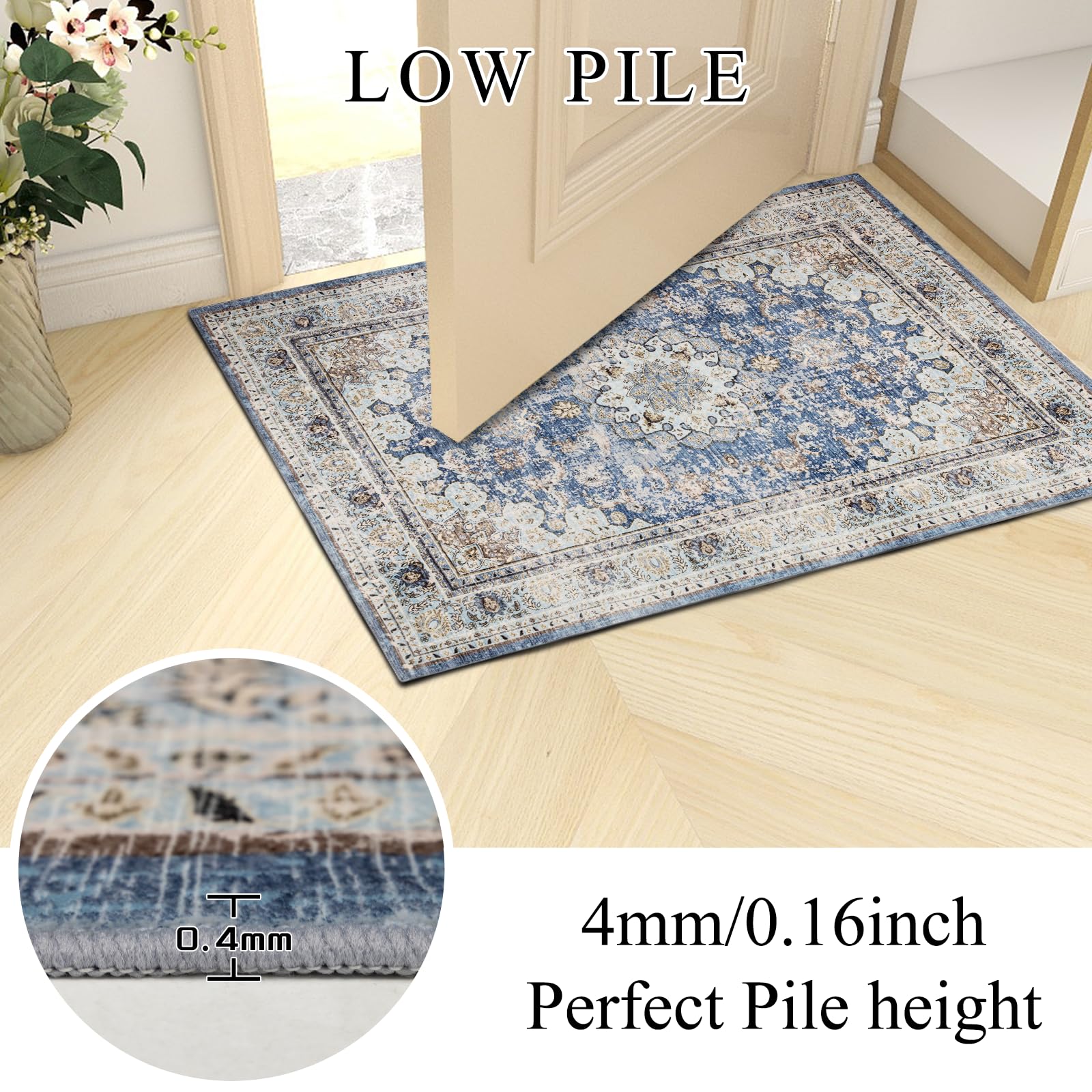 Bairichmat 2x3 Area Rugs,Machine Washable Rug,Non-Slip,Kitchen Rugs, Entryway Rug, Small Rug, Door Mat,Indoor Rug with Stain Resistant Accent Distressed Carpet Thin Rug,Non Shedding, Easy Clean