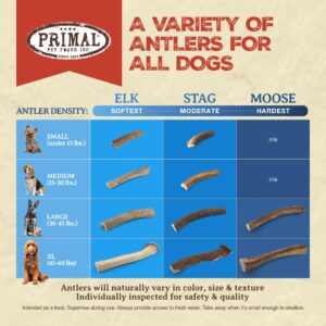 Primal Antlers for Dogs - Grade A Split Elk Antlers for Small Dogs up to 15 lb - Natural Dog Chews for Aggressive Chewers - Naturally Shed Antlers - Long Lasting Dog Bones - 1 ct