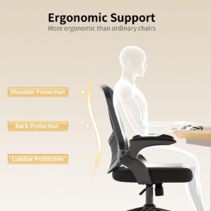 naspaluro Ergonomic Office Chair, Mid Back Ergonomic Desk Chair with Flip-Up Arms and Lumbar Support,Adjustable Height Mesh Computer Chair for Home Office,Study,Work, Black