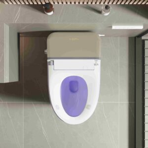 Luxury Smart Toilet with Bidet Built In,Modern Bidet Toilet with Heated Seat & Auto open lid,One Piece Bidet Toilet with Auto Flush,Foot Sensor Flush,Warm Air Drying,Remote Control,LED Display