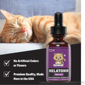 Cat Melatonin | Melatonin for Cats | Helps to Support Restful Sleep for Your Cat | Cat Sleep Aid | Cat Calming | Cat Anxiety Relief | Anxiety Relief for Cats | Cat Stress Relief | 1 fl oz