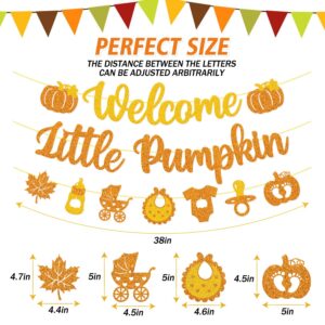 Welcome Little Pumpkin Banner Pumpkin Baby Shower Party Decorations for Baby Boy Girl Autumn Happy Fall Thanksgiving Gender Reveal Party Supplies