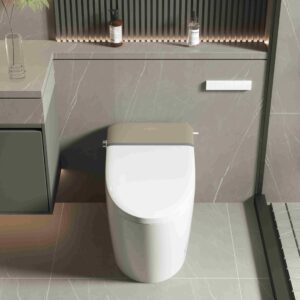 Luxury Smart Toilet with Bidet Built In,Modern Bidet Toilet with Heated Seat & Auto open lid,One Piece Bidet Toilet with Auto Flush,Foot Sensor Flush,Warm Air Drying,Remote Control,LED Display