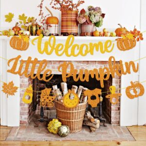 Welcome Little Pumpkin Banner Pumpkin Baby Shower Party Decorations for Baby Boy Girl Autumn Happy Fall Thanksgiving Gender Reveal Party Supplies