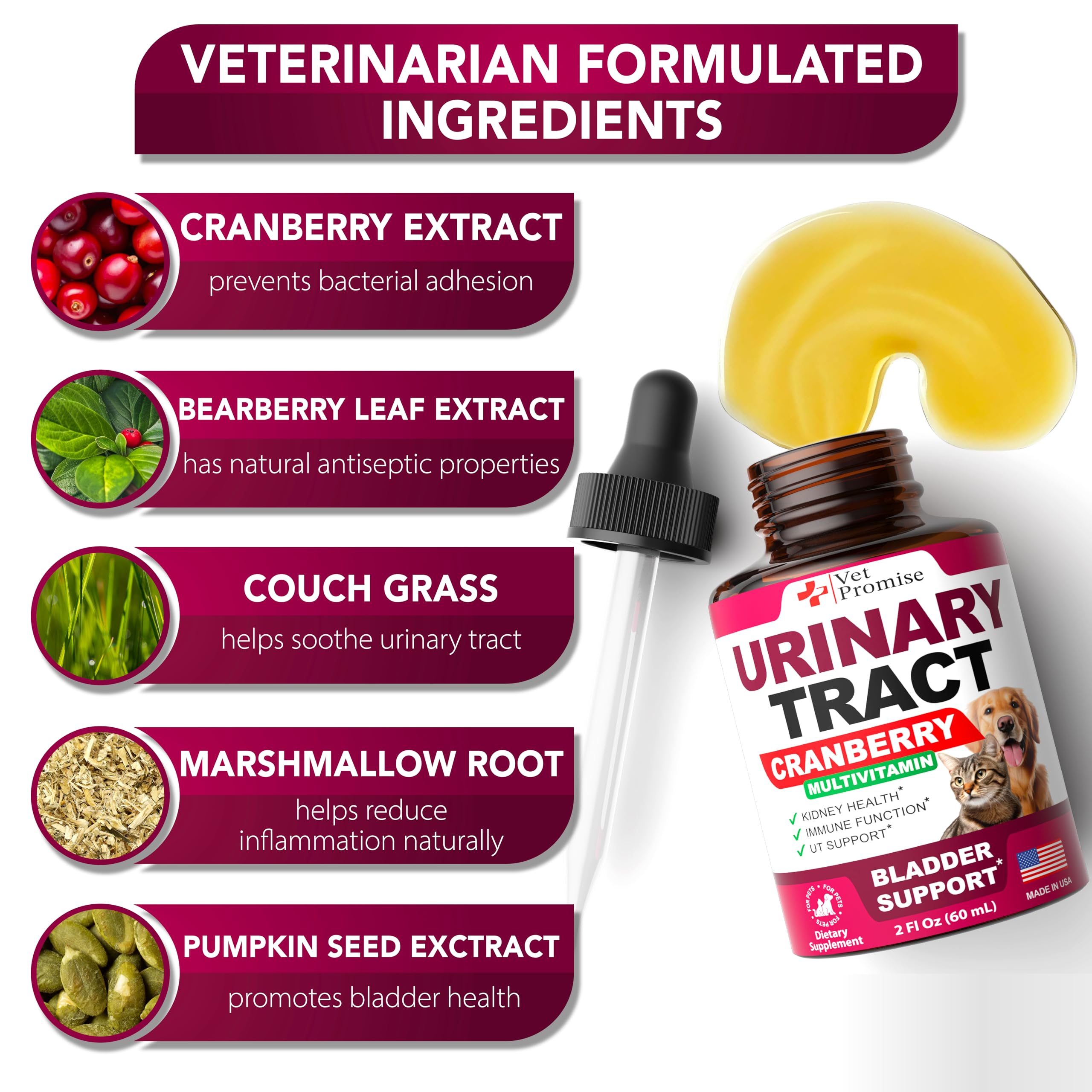 Cat & Dog UTI Treatment - Cranberry Supplement for Dogs UTI - Bladder Control - Dog Urinary Tract Infection Treatment - Dog & Cat UTI Medicine - Dog Cranberry Supplement Vitamins Multivitamin