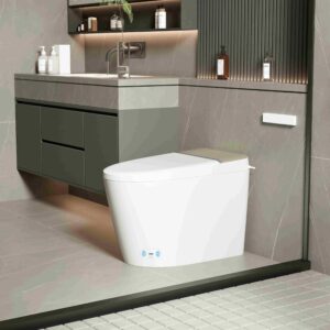 Luxury Smart Toilet with Bidet Built In,Modern Bidet Toilet with Heated Seat & Auto open lid,One Piece Bidet Toilet with Auto Flush,Foot Sensor Flush,Warm Air Drying,Remote Control,LED Display