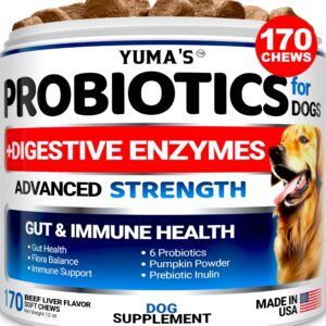 Probiotics for Dogs and Digestive Enzymes - 170 Dog Probiotics Chews - Dog Probiotic - Anti Diarrhea, Upset Stomach & Gas Relief, Canine Prebiotic - Pet Fiber Supplement - Beef Liver Flavor