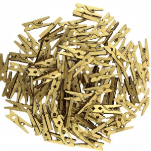 Gold Clothes Pins 100 Pack - Mini Clothespins for Photos, Crafts, and More