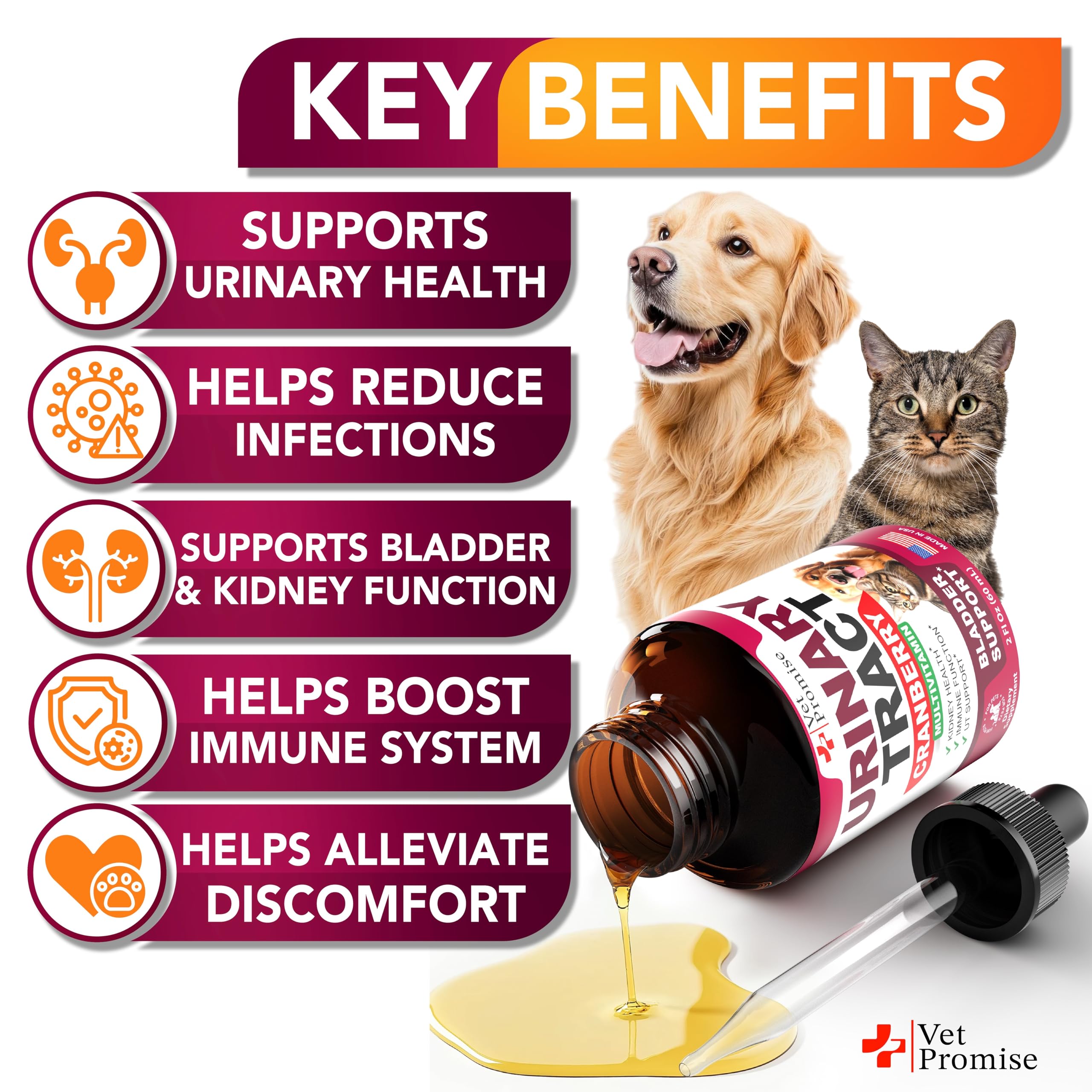 Cat & Dog UTI Treatment - Cranberry Supplement for Dogs UTI - Bladder Control - Dog Urinary Tract Infection Treatment - Dog & Cat UTI Medicine - Dog Cranberry Supplement Vitamins Multivitamin