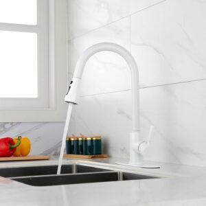 white pull out spraye kitchen faucet