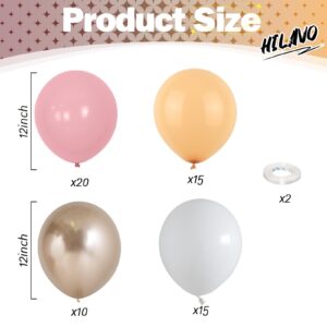 Nude Dusty Pink Balloons Set, 60Pcs 12 Inch Retro Blush Pink Apricot Helium Balloon with Beige White Champagne Gold Latex Neutral Balloons for Birthday Wedding Baby Bridal Shower Party Decorations