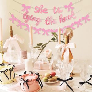 JeVenis She is Tying The Knot Banner Tie The Knot Bridal Shower Decor Pink Bow Banner Garland Coquette Bachelorette Party Decorations