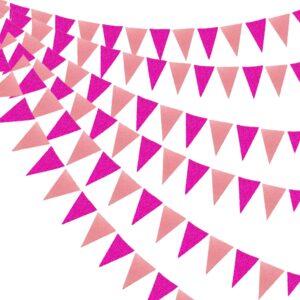 Hot Pink and Pink Glitter Pennant Banner Party Decorations Wedding Bridal Shower Hanging Paper Triangle Flags Streamers for Wedding Birthday Bachelorette Engagement Home Nursery Party Decor (48 Pcs)