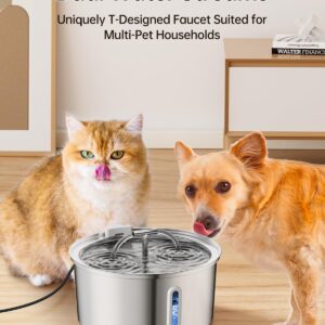 Cat Water Fountain Stainless Steel, 3.2L/108Oz Pet Water Fountain for Drinking, Automatic Metal Dog Water Dispenser Bowl with Quiet Pump, Dual-Stream, Filtration for Cats, Dogs, Multiple Pets Indoor