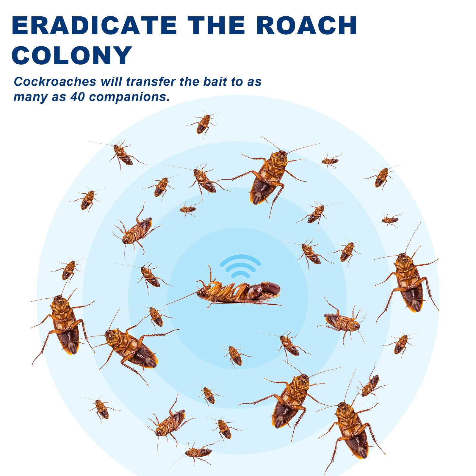 Sumkat Cockroach Gel Bait Ready to Use Roach Control 1 Box (4 Tubes x 30gms)