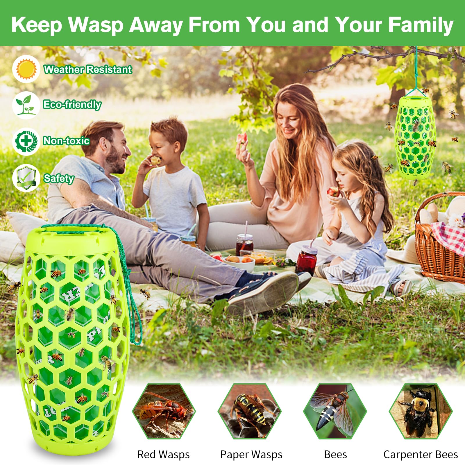 ENERJARY Wasp Trap Bee Catcher, Outdoor Hanging Carpenter Bee Traps with 4 Sticky Boards, Non-Toxic Reusable Hornet Yellow Jacket Trap (Green, 2 Pack)