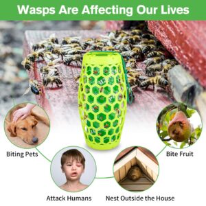 ENERJARY Wasp Trap Bee Catcher, Outdoor Hanging Carpenter Bee Traps with 4 Sticky Boards, Non-Toxic Reusable Hornet Yellow Jacket Trap (Green, 2 Pack)