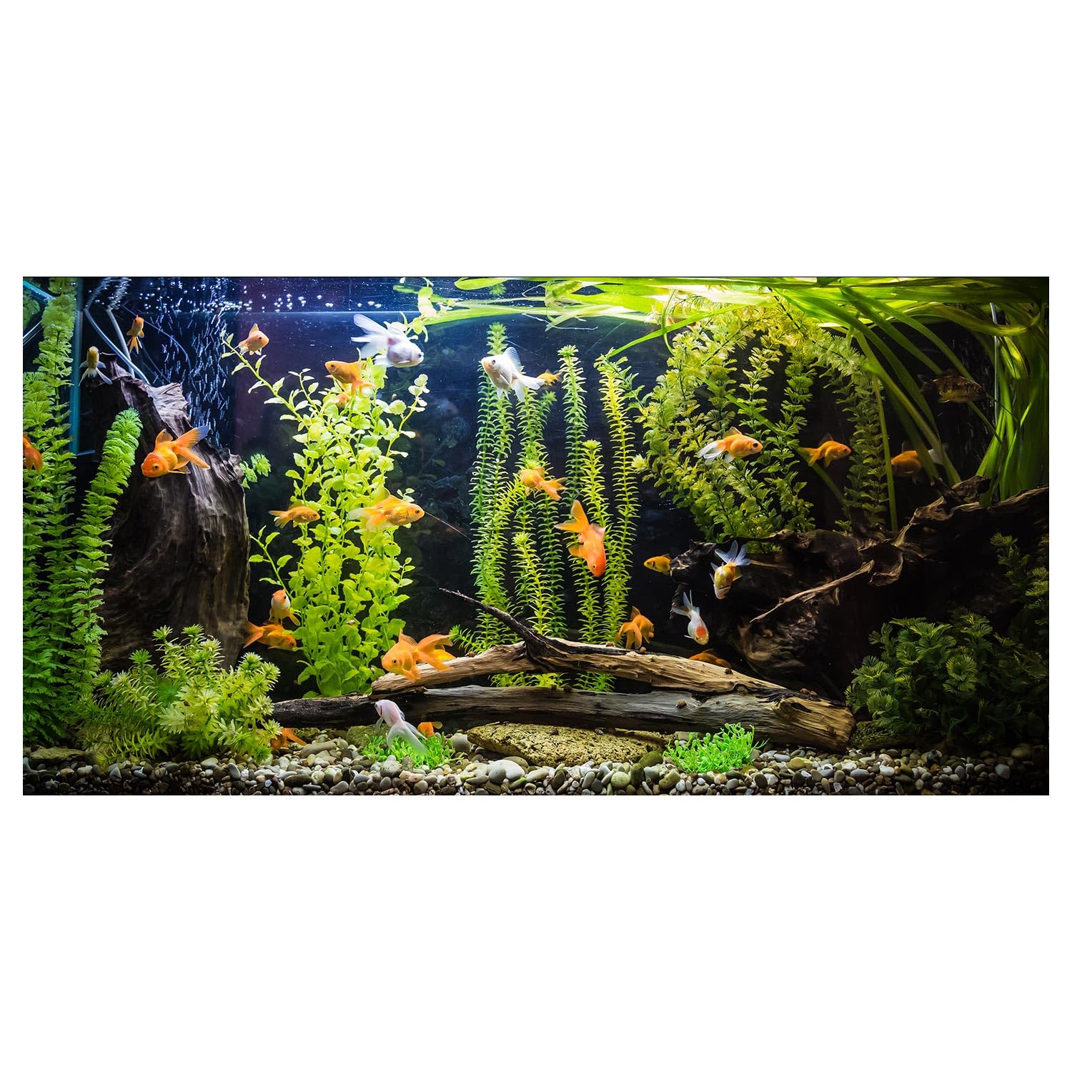 Dizifinn Aquarium Background, River Bed & Lake Tropical Undersea Tree Branch Aquatic Plant Fish Tank Background, 6 EVA Double-Sided Tapes 36x18 inches/90x45