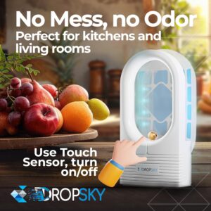 Dropsky Indoor Flying Insect Trap - Plug-in Bug Light Trap for Fruit Flies, Gnats and Houseflies - Odorless and Mess Free (2 Traps + 2 Glue Cards)