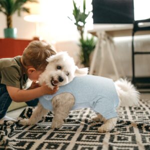 Nanaki Dog Wound Care Shirt,Dog Leg Sleeve To Stop Licking Rear Leg,Dog Surgery Suit Female Spay Male Neuter,Dog Onesie For Surgery Female Male,Dog Surgical Recovery Suit Female Dog Wound Heal Clothes