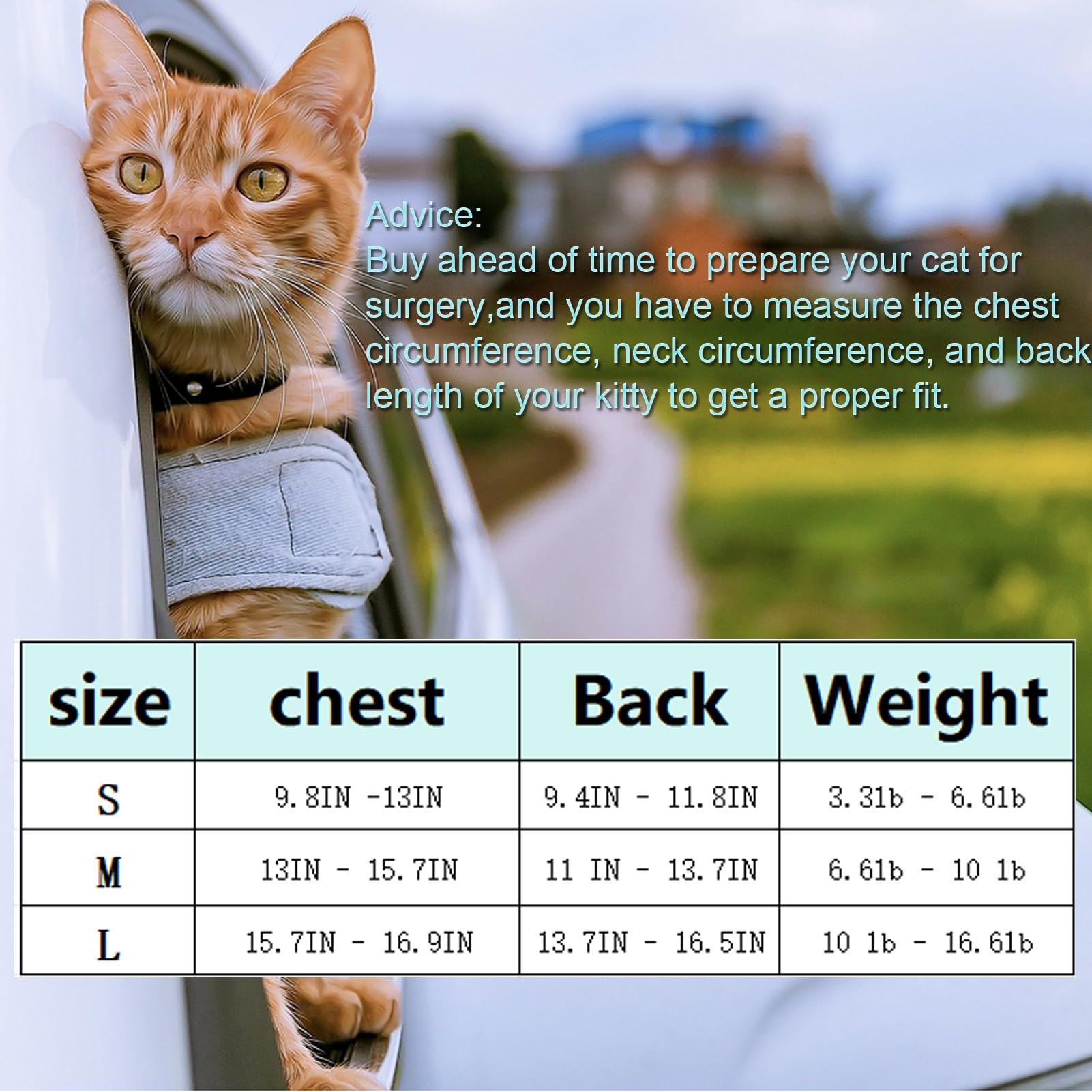 Cute Cat Surgical Recovery Suit Female Male Onesie for Cat After Surgery, Pet Cat Alternative Bandages Cones & Collars (Blue, S)