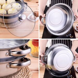 Steamer Pot for Cooking 11-inch Steam Pots with Lid, Multipurpose Steam Pot Stainless Steel Steaming Pot Cookware with Handle for Vegetable, Stews, Pasta, Dumpling, Sauce, Food (3 Tier)