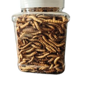 Classic Flock 20oz Dried Superworms - High Protein Reptile & Amphibian Food