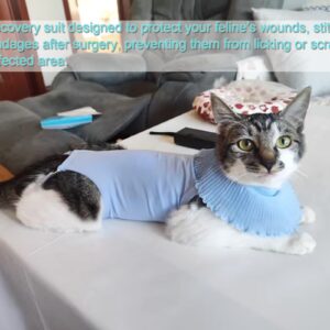 Cute Cat Surgical Recovery Suit Female Male Onesie for Cat After Surgery, Pet Cat Alternative Bandages Cones & Collars (Blue, S)