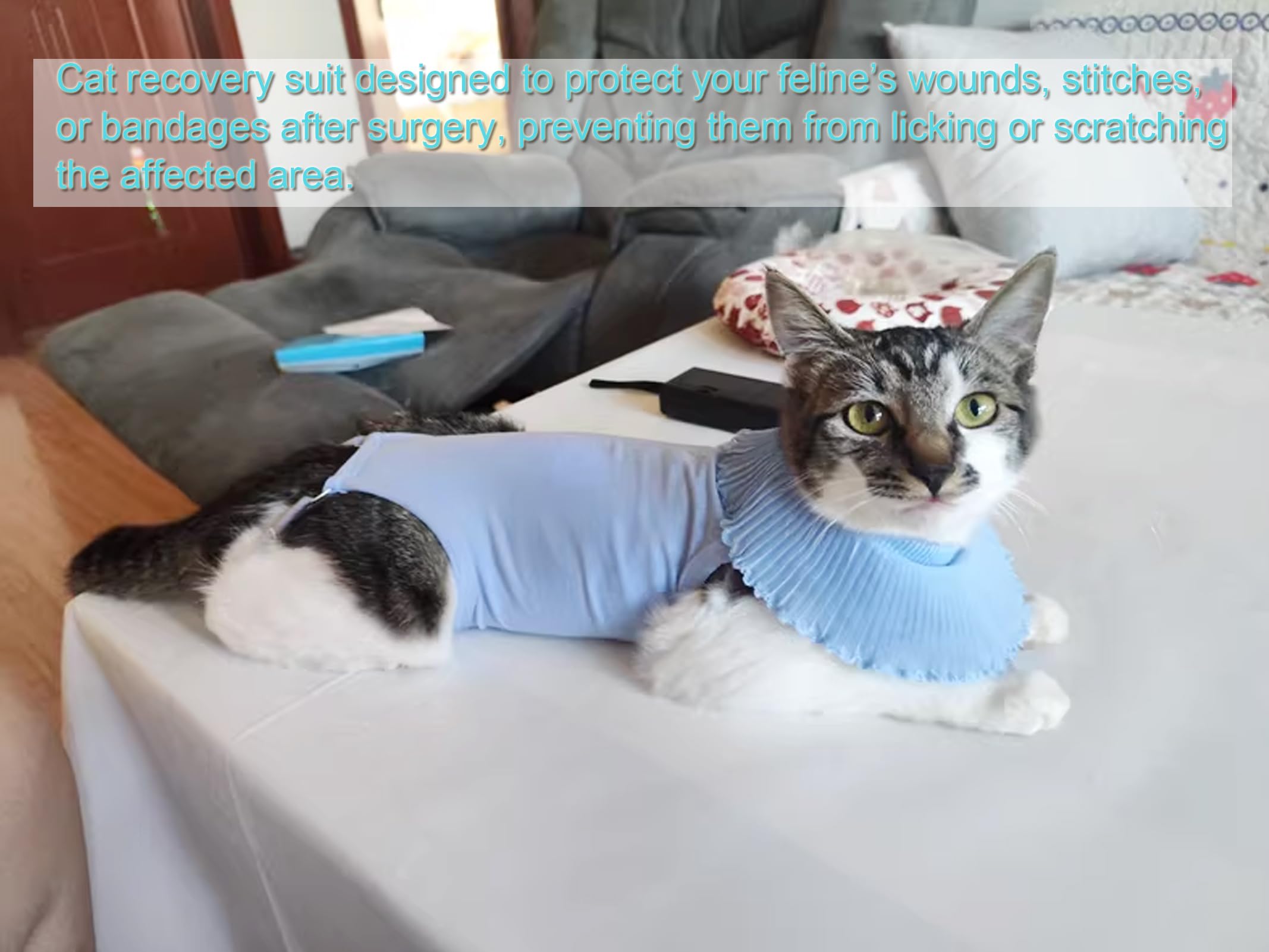 Cute Cat Surgical Recovery Suit Female Male Onesie for Cat After Surgery, Pet Cat Alternative Bandages Cones & Collars (Blue, S)