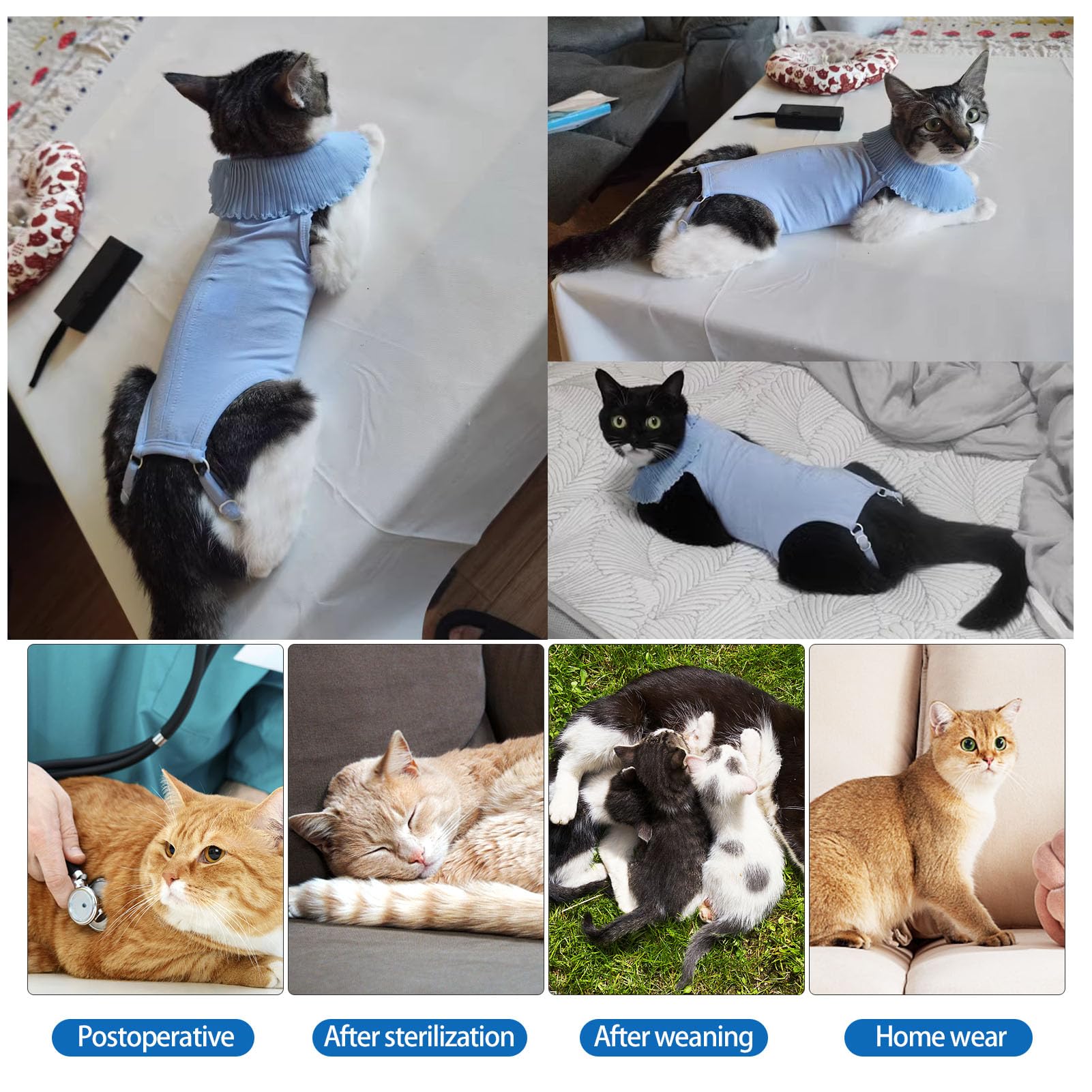 Cute Cat Surgical Recovery Suit Female Male Onesie for Cat After Surgery, Pet Cat Alternative Bandages Cones & Collars (Blue, S)