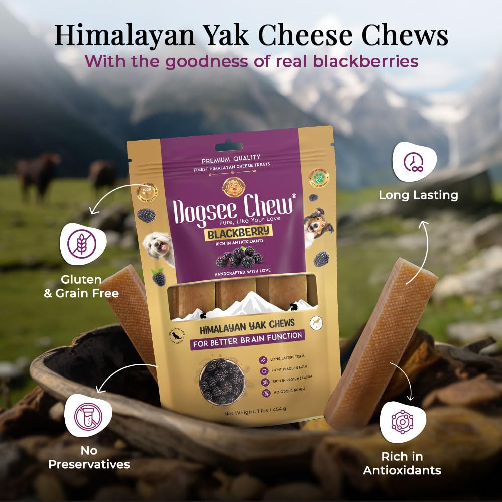 Dogsee Himalayan Yak Cheese Chews with BlackBerry 1lb (Large - 4 Chews) | Rich in Antioxidants | Fight Plaque & Tartar | Long Lasting Dental Dog Chews