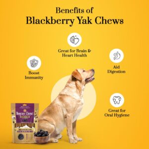 Dogsee Himalayan Yak Cheese Chews with BlackBerry 1lb (Large - 4 Chews) | Rich in Antioxidants | Fight Plaque & Tartar | Long Lasting Dental Dog Chews