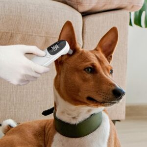 Animal Thermometers - Dog Ear Temperature Monitor, Long Probe Pets Ear Canal Tool | Fast Rectal Temperature Monitor Pet Only Thermometer, Dog and Cat Ear Care Supply for Pets Fever Detection Device