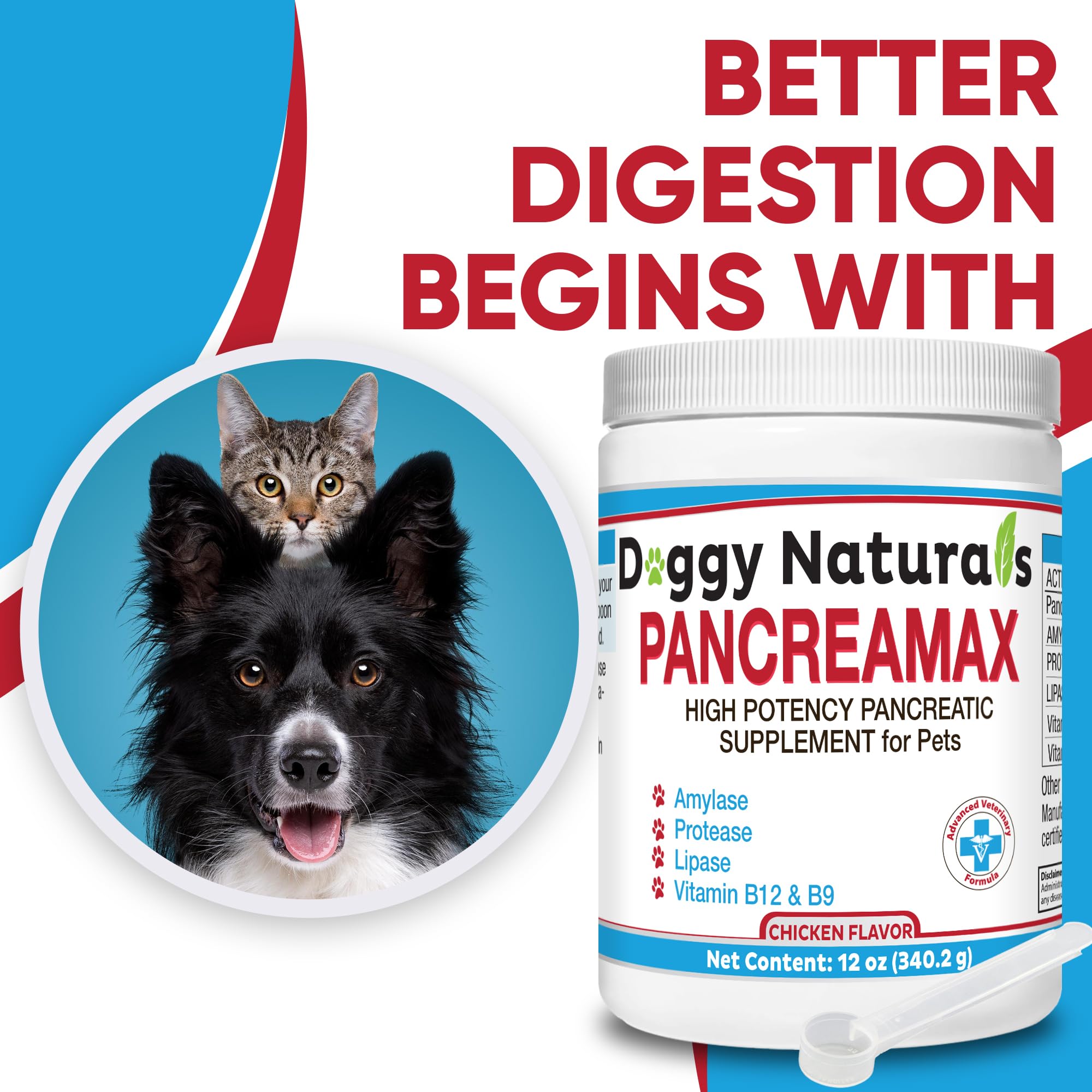 PancreaMax 10x Pancreatic Enzymes for Dogs and Cats (12 oz) Powder (Made in U.S.A). Pancreatin 10X for Dogs and Cats Contain Pancreatic Enzyme, High Strength, Low Odor.(10x Porcine Pancreatin)