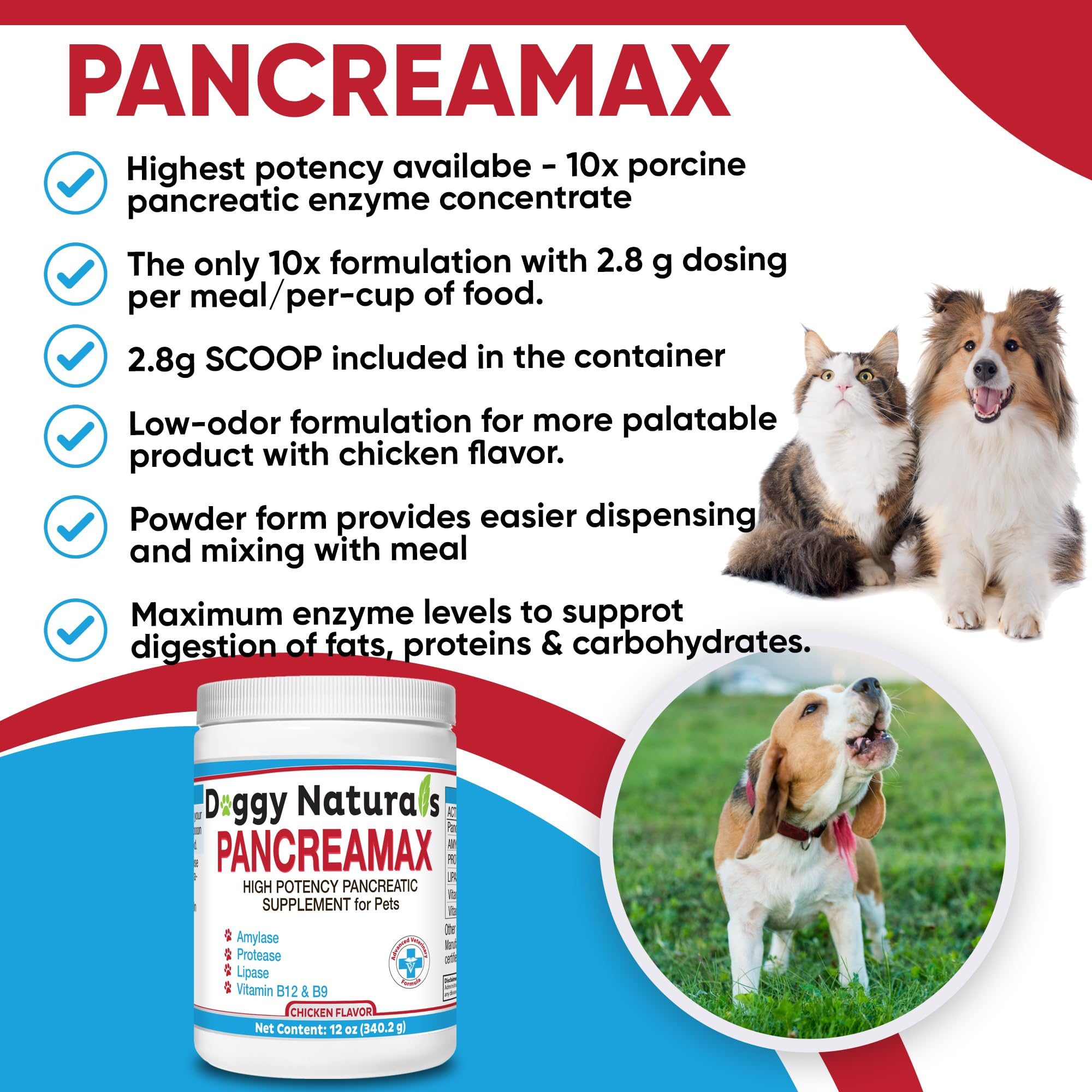 PancreaMax 10x Pancreatic Enzymes for Dogs and Cats (12 oz) Powder (Made in U.S.A). Pancreatin 10X for Dogs and Cats Contain Pancreatic Enzyme, High Strength, Low Odor.(10x Porcine Pancreatin)