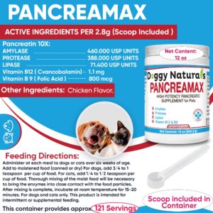 PancreaMax 10x Pancreatic Enzymes for Dogs and Cats (12 oz) Powder (Made in U.S.A). Pancreatin 10X for Dogs and Cats Contain Pancreatic Enzyme, High Strength, Low Odor.(10x Porcine Pancreatin)