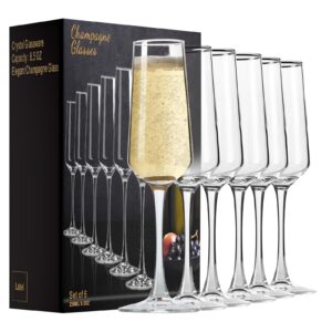 paracity champagne flutes, champagne glasses set of 6, elegant 8.5oz glass champagne flutes, gift for birthday, wedding, christmas, clear sparkling champagne glasses for women, men