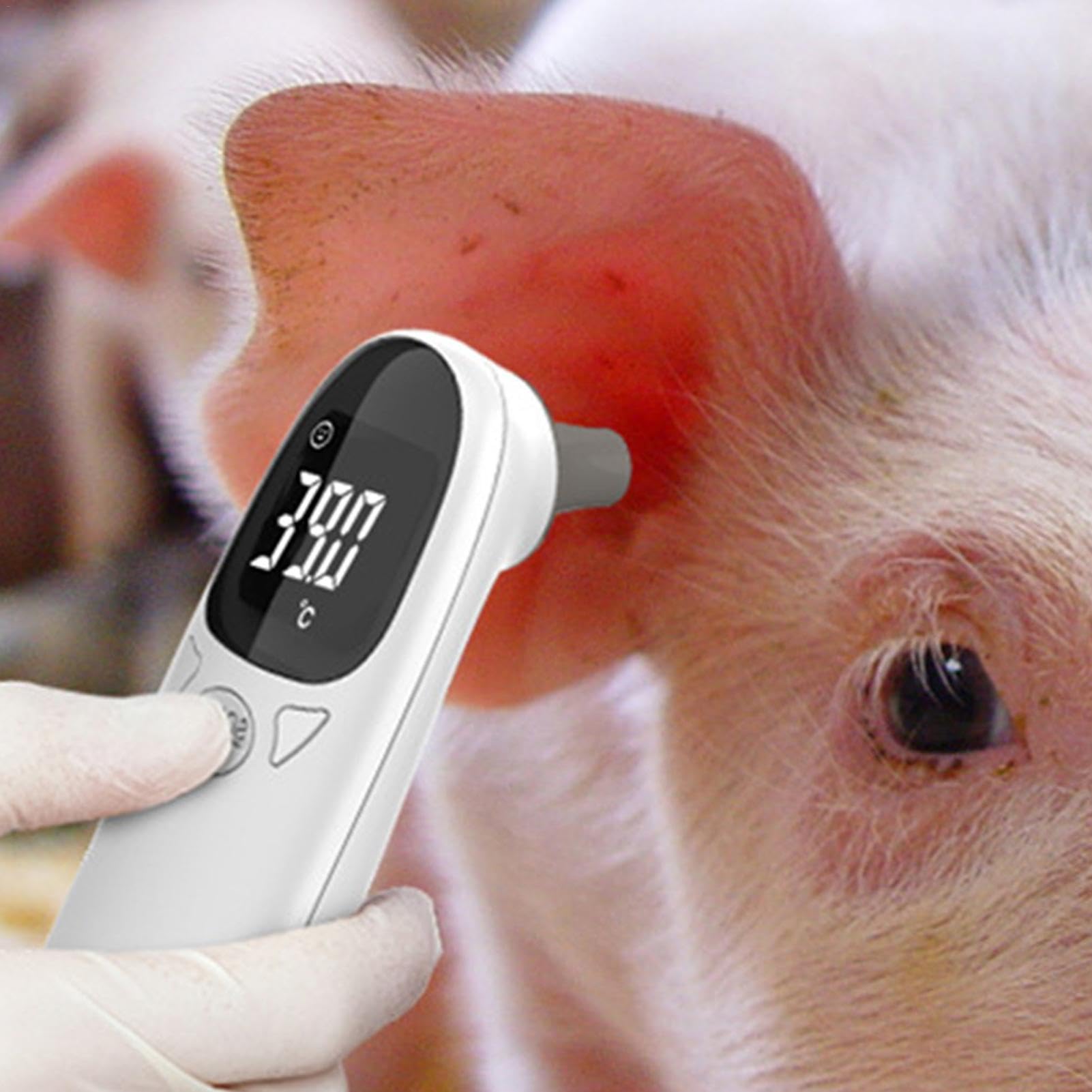 Pet Thermometers for Dogs - Pet Temperature Gauge, Animal Temperature Reader | Advanced Sensing Technology Digital Fever Detector, Convenient Temperature Reading Veterinary Thermometers for Livestock