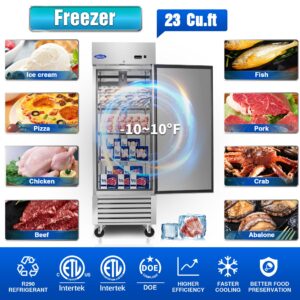 ORIKOOL 27"W Commercial Freezer Upright, -10℉ ~ 10℉ Stainless Steel Reach-in Freezer with 23 Cu.ft Capacity, Fan Cooling Single Door Freezer