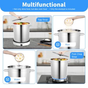 30 Quart 35L Commercial Grade Stockpot 201 Stainless Steel Stockpot Heavy-Duty Canning Pot Soup Pot Induction Pot with Lid and Riveted Handles for Soup Seafood Stock Canning Silver